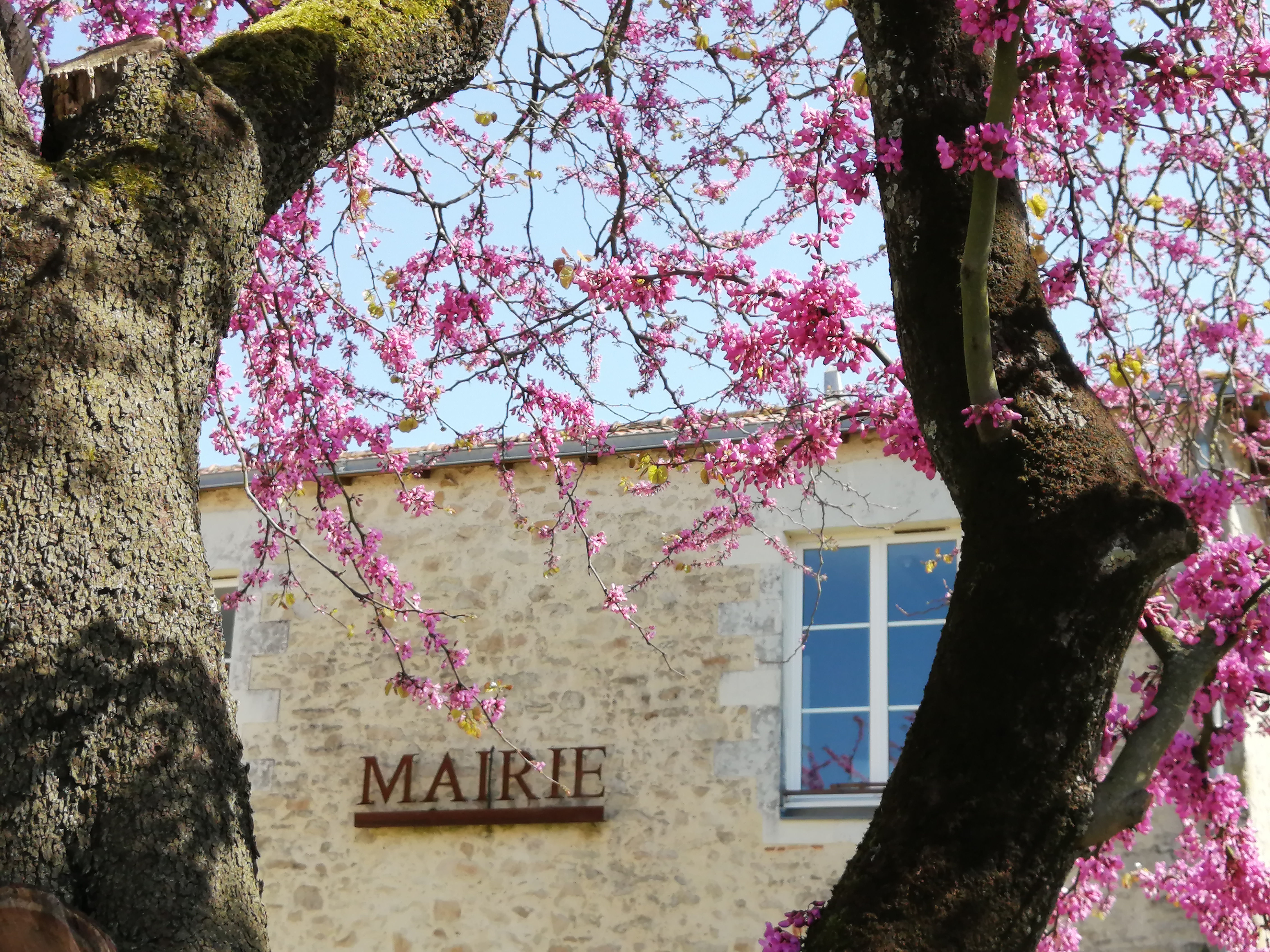 Bienvenue à Saint Hilaire de Clisson
